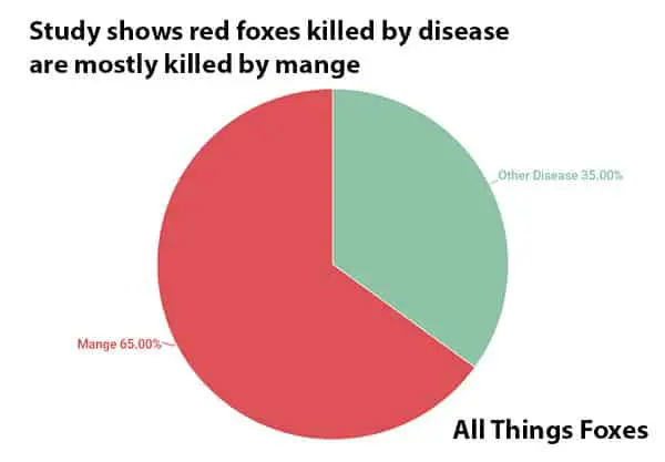 Graph of what diseases kill foxes.