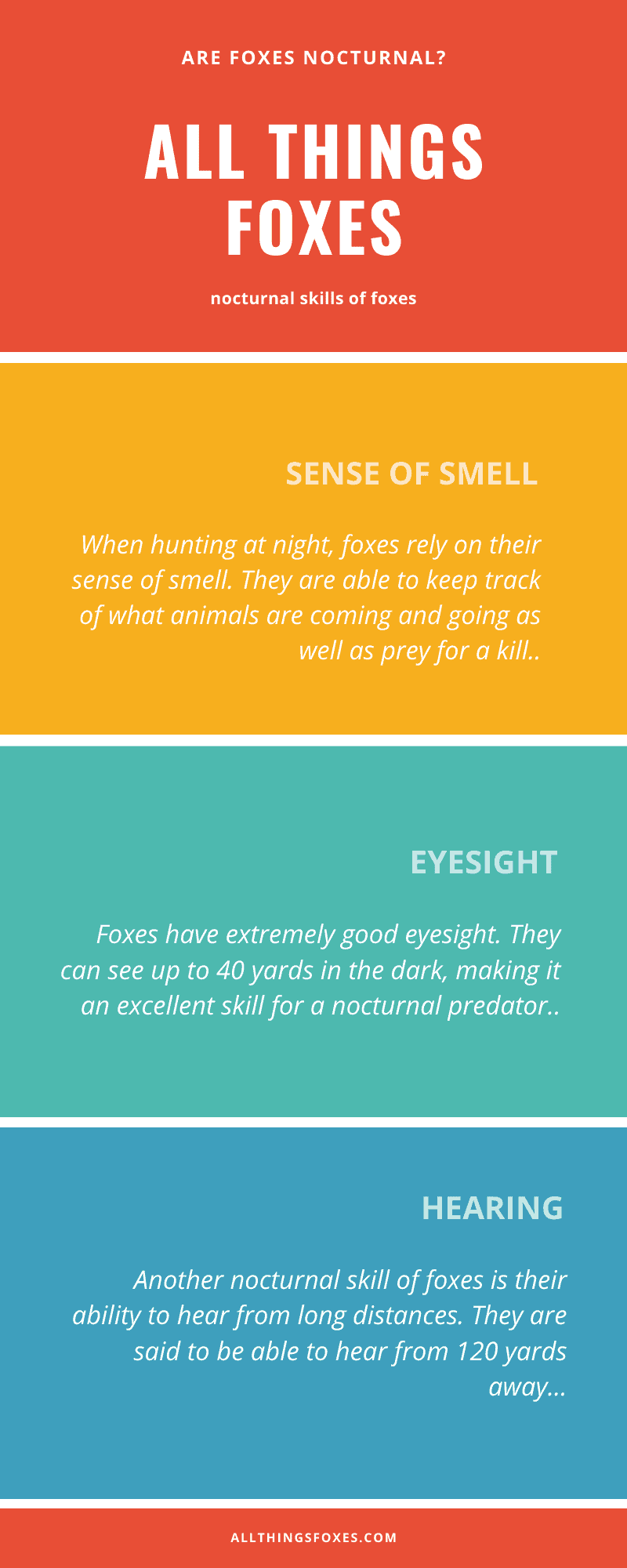 Are Foxes Nocturnal? Do Foxes Hunt at Night?