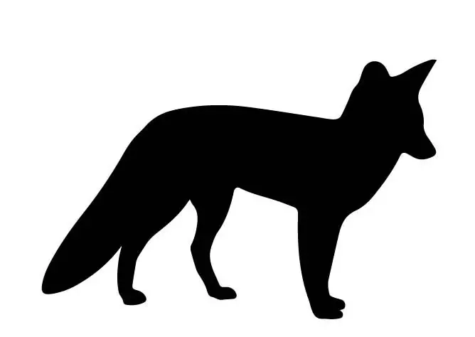 young-fox
