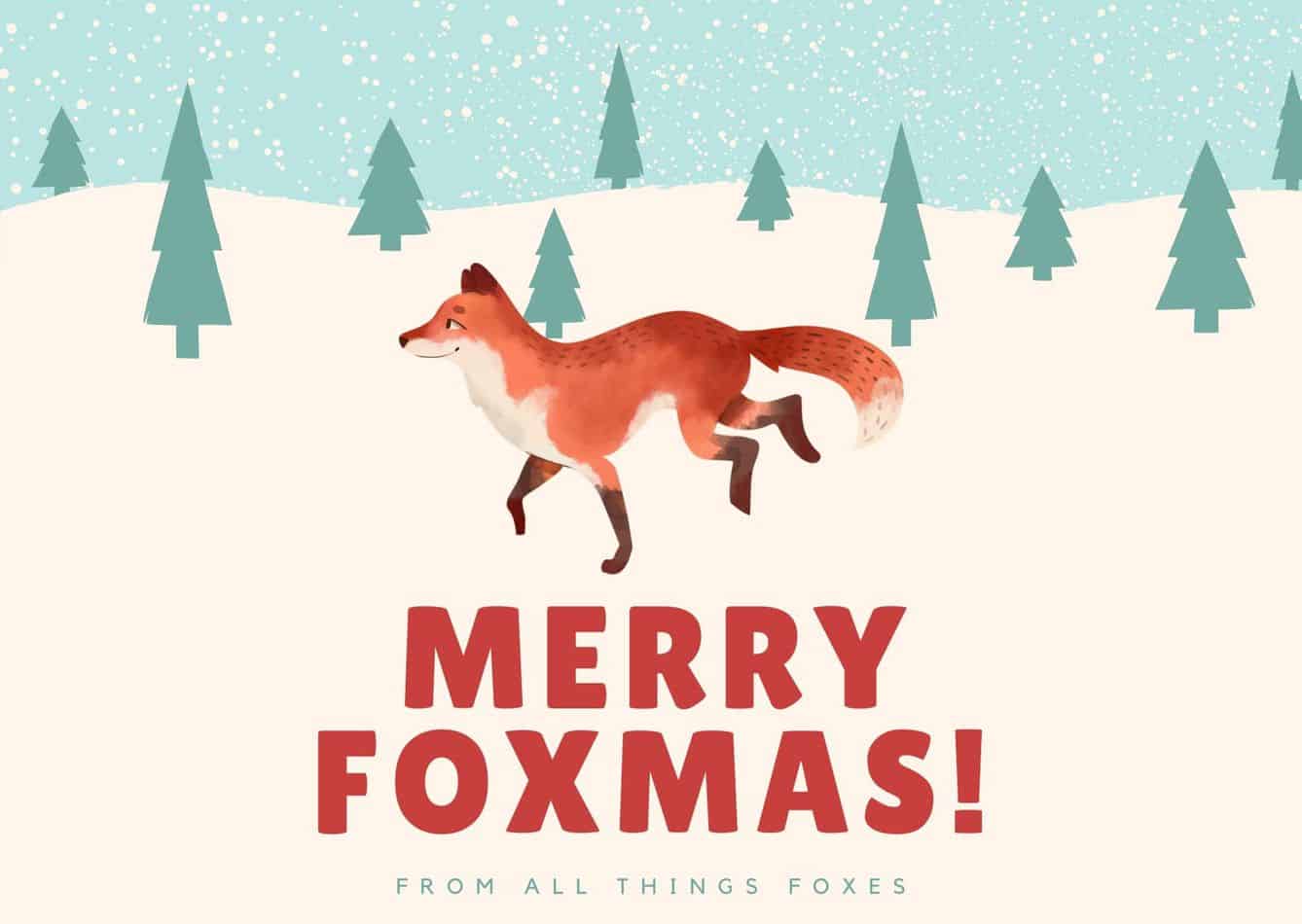 christmas-foxes