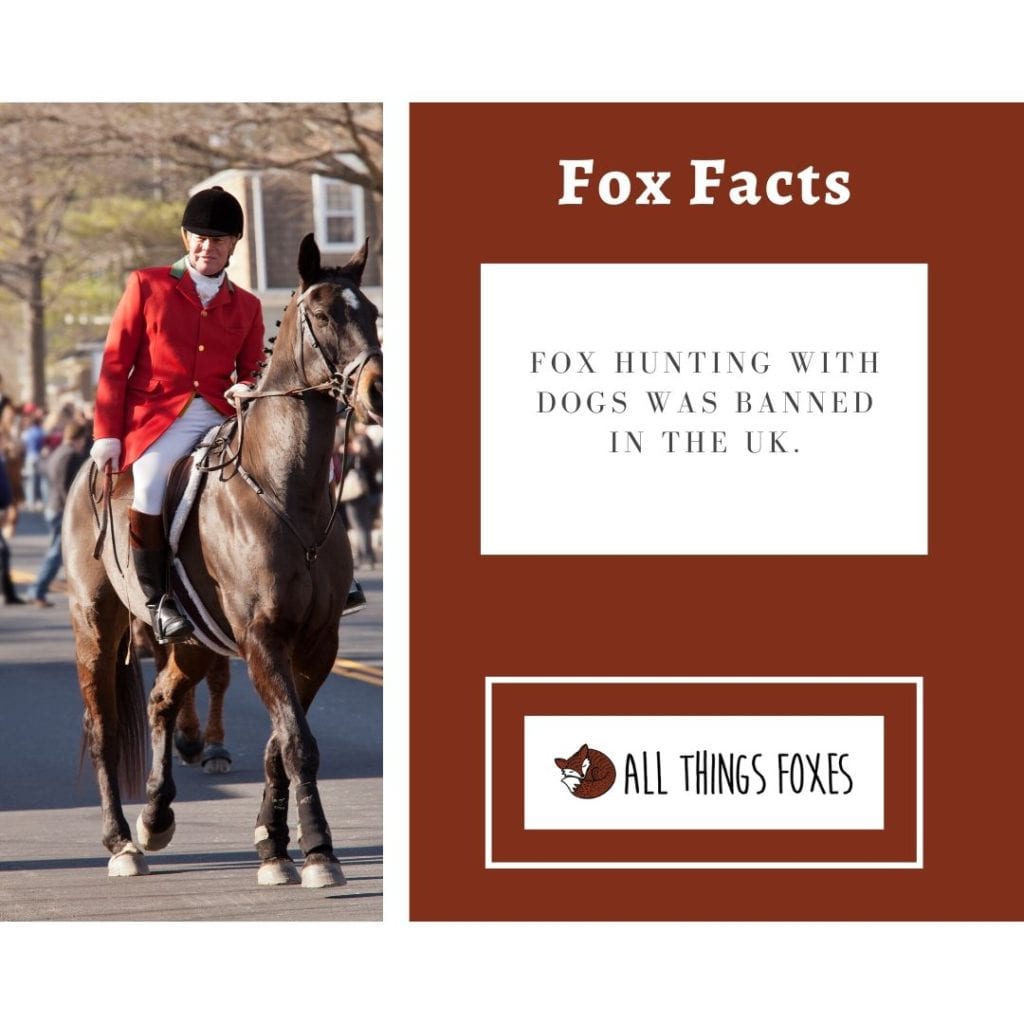 fox-facts-hunting-banned