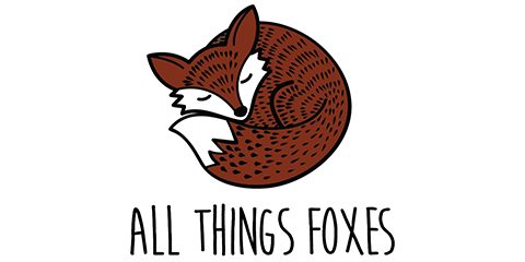 Fox Symbolism | The Ultimate Guide - All Things Foxes