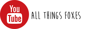 fox-videos