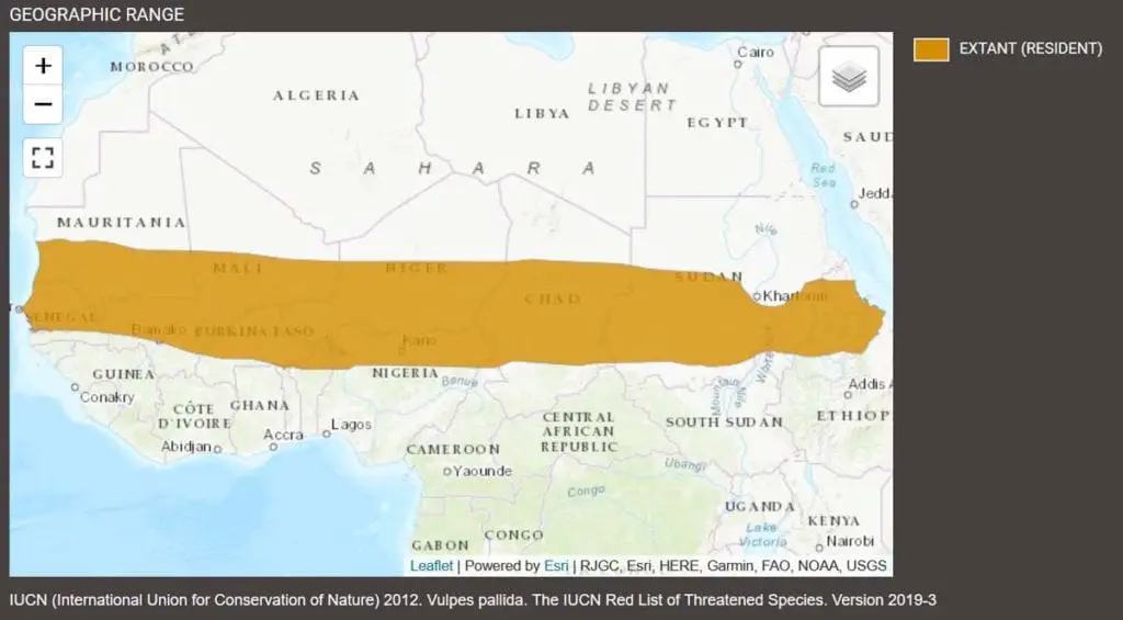 cape-fox-range