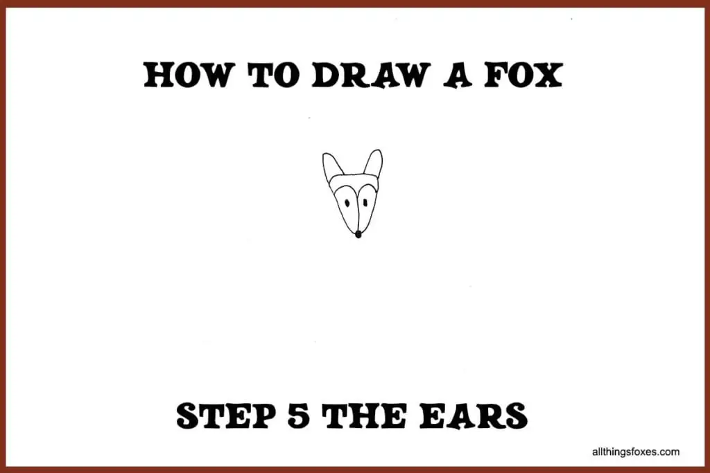 how-to-draw-a-fox-step-5