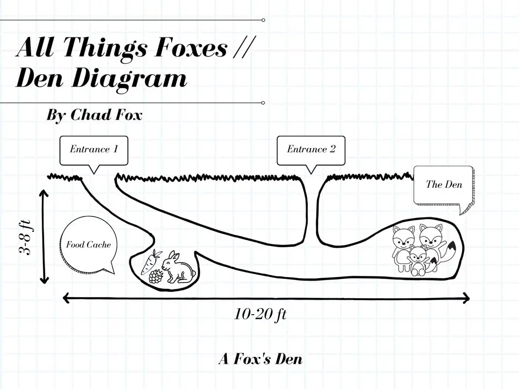 fox-den-diagram