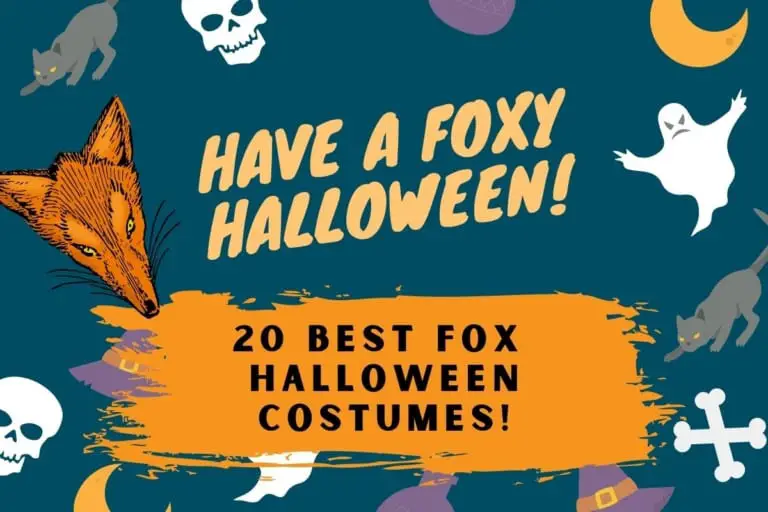 20 Best Fox Costumes Fox Costumes for Halloween All Things Foxes