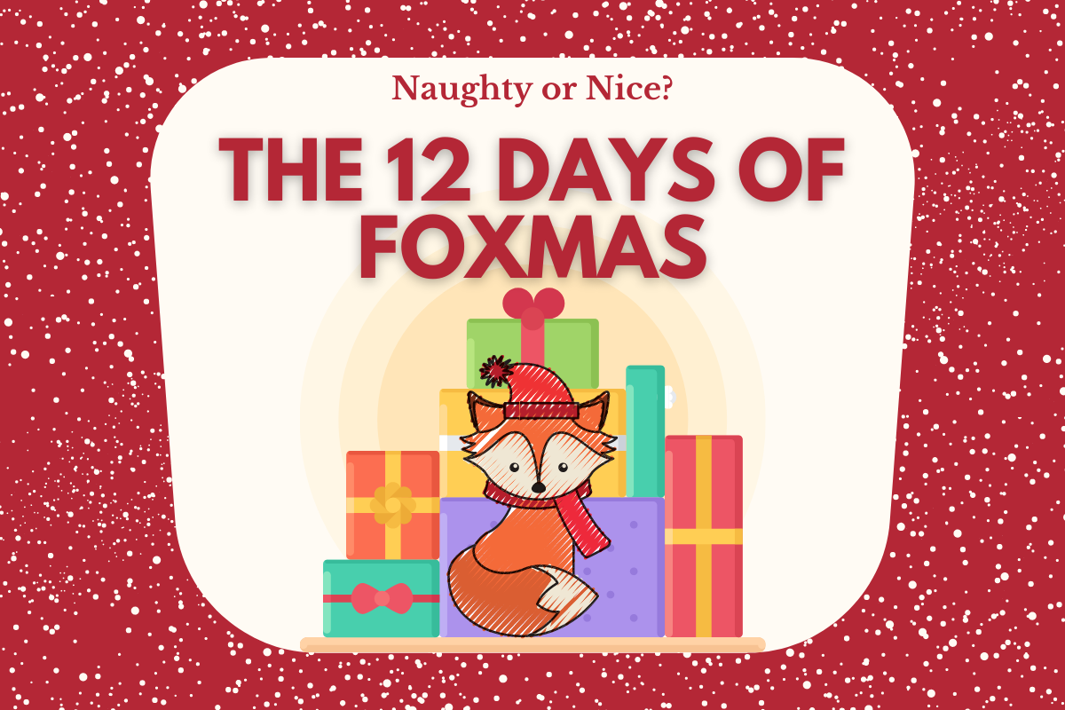 Christmas Fox 12 Days of Fox Christmas Gifts All Things Foxes